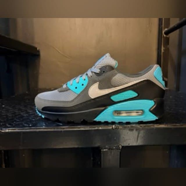 Nike Air Max 90 'Smoke Grey/Cool Grey'